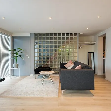 Apartament Wasser - Modern House *
